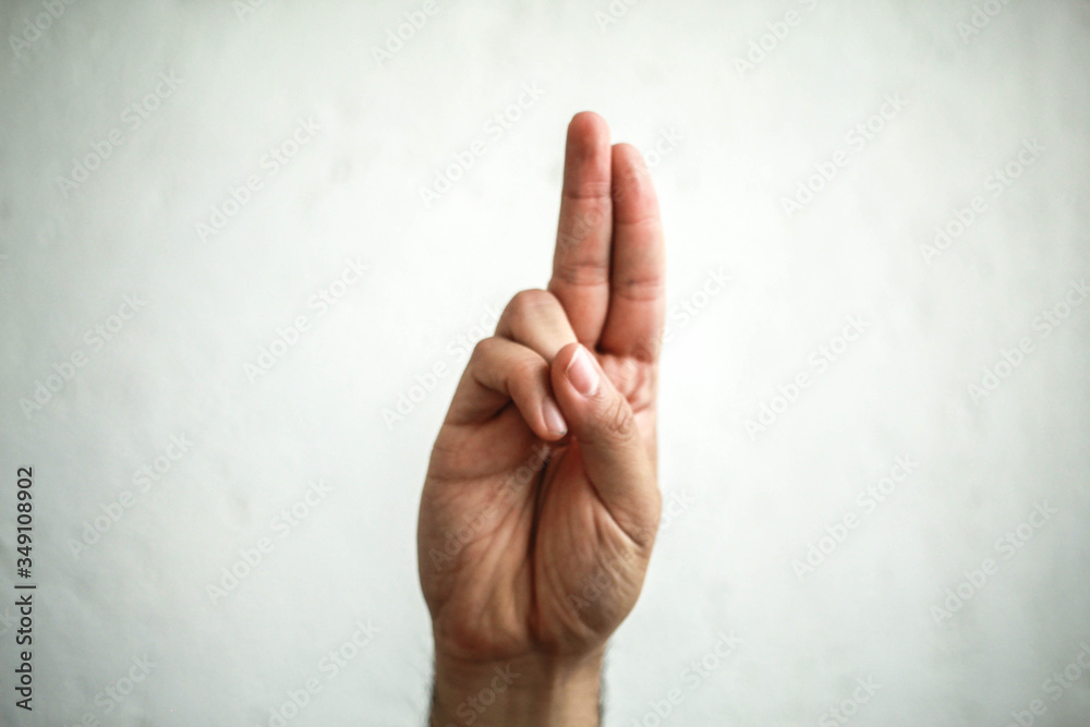 The American Sign Language Alphabet, including some Spanish/Mexican variations The American Sign Language Alphabet, including some Spanish/Mexican variations