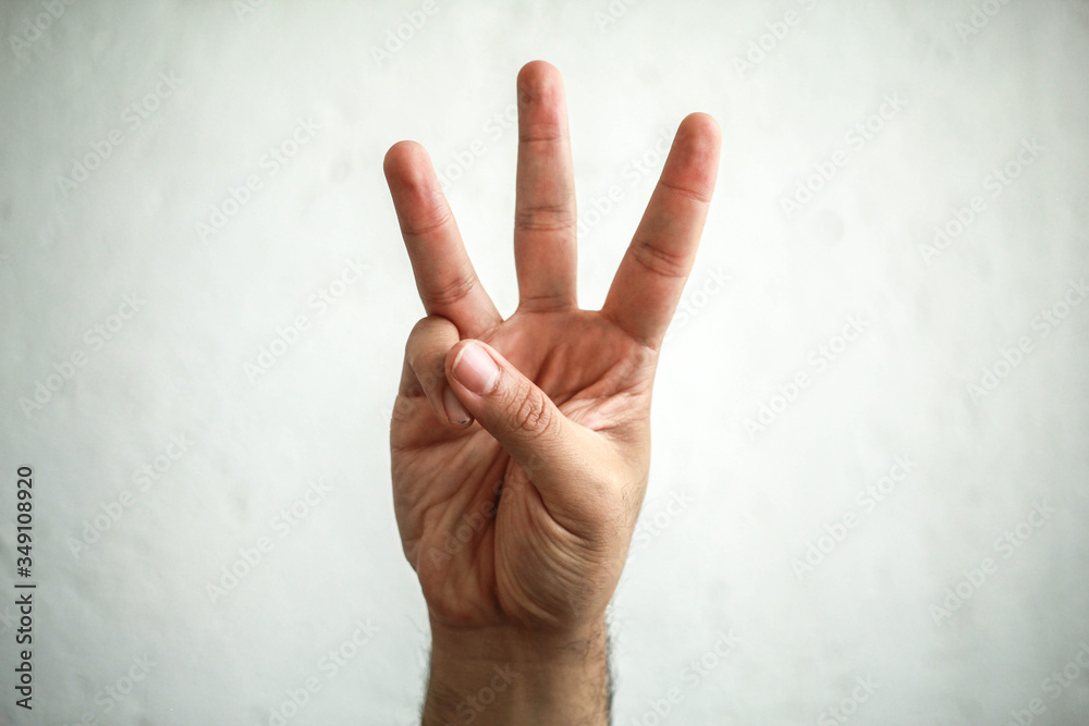 The American Sign Language Alphabet, including some Spanish/Mexican variations