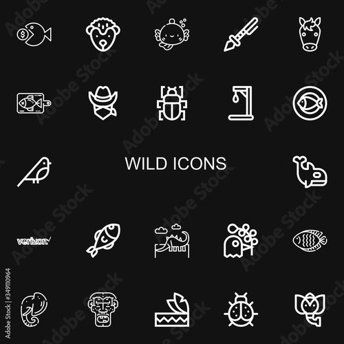 Editable 22 wild icons for web and mobile
