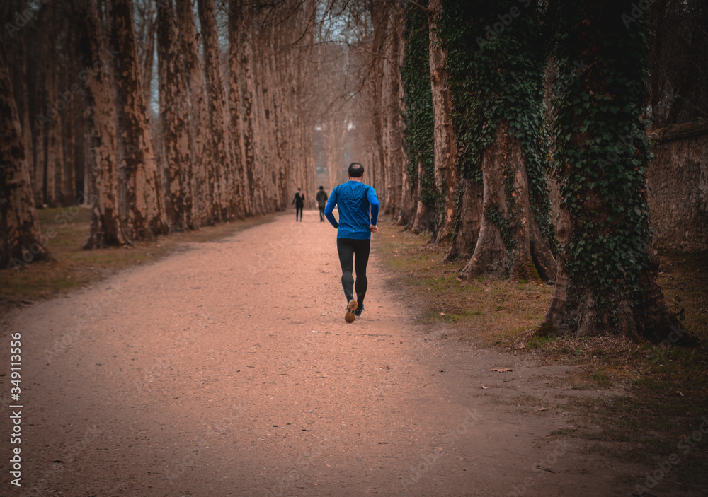 Fototapeta premium Człowiek biegnie na leśnej ścieżce.