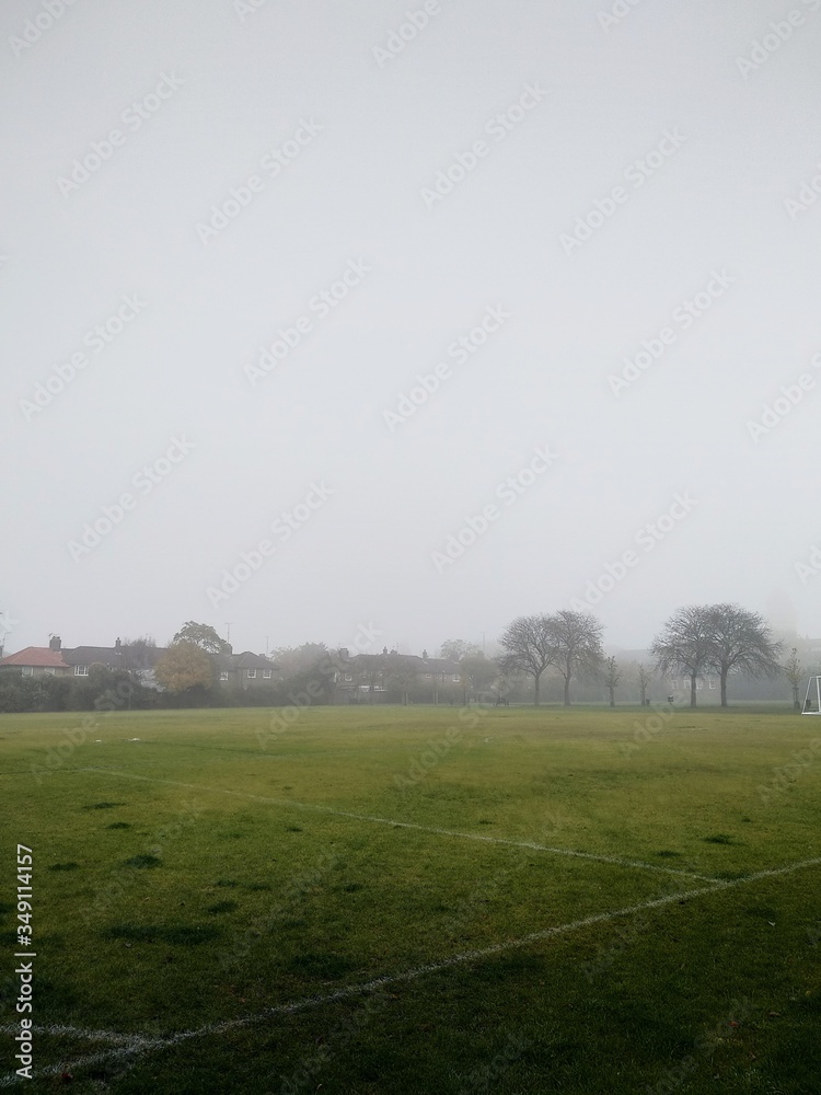 Fototapeta premium Morning Mist