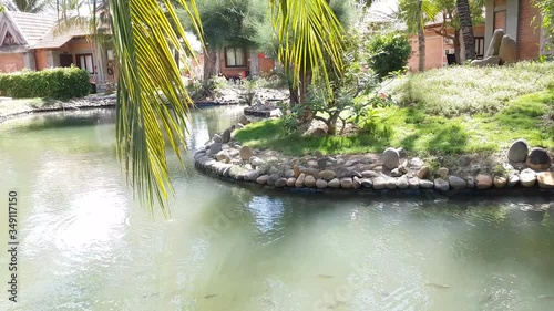 The fish float in a stoned pond. The wind is growing the foliage of coconut trees. Pink adenium flower on the shore.