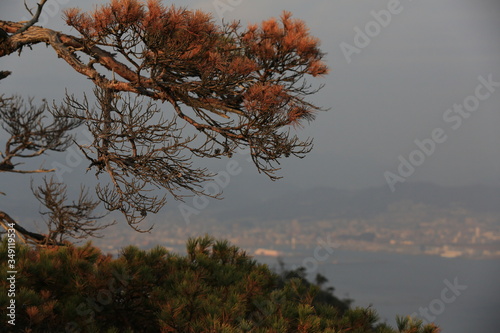 Beautiful Japanese autumn in Miyajima, Miyajimacho photo