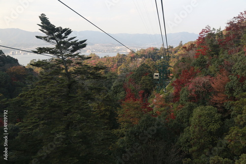 Fototapeta Naklejka Na Ścianę i Meble -  Beautiful Japanese autumn in Miyajima, Miyajimacho