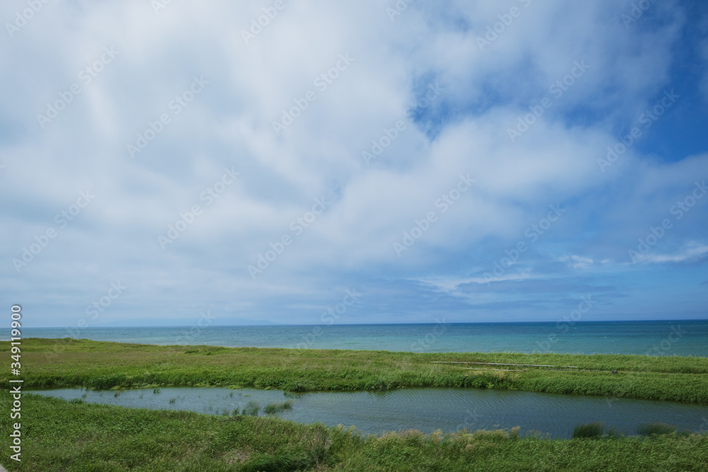 コウホネ沼 コウホネ沼