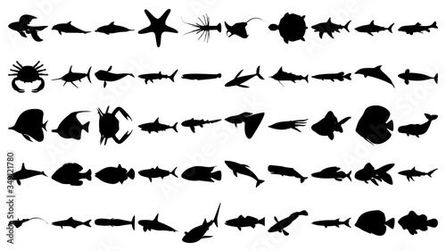 Vector set of 50 various fish and sea animals silhouettes.