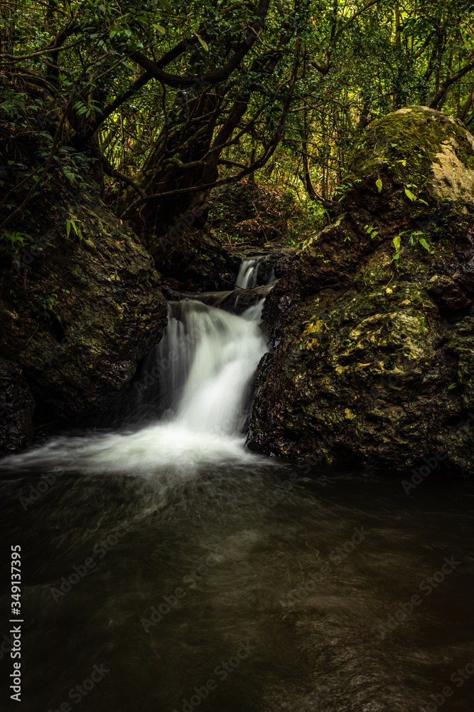 Fototapeta premium waterfall cover with green lush forest long exposure flat angle image