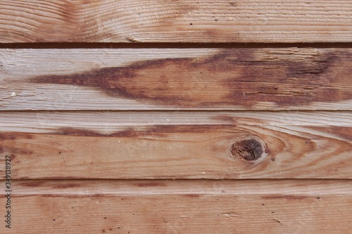 Wallpaper Mural Texture of old boards. Macro. Russia. Torontodigital.ca