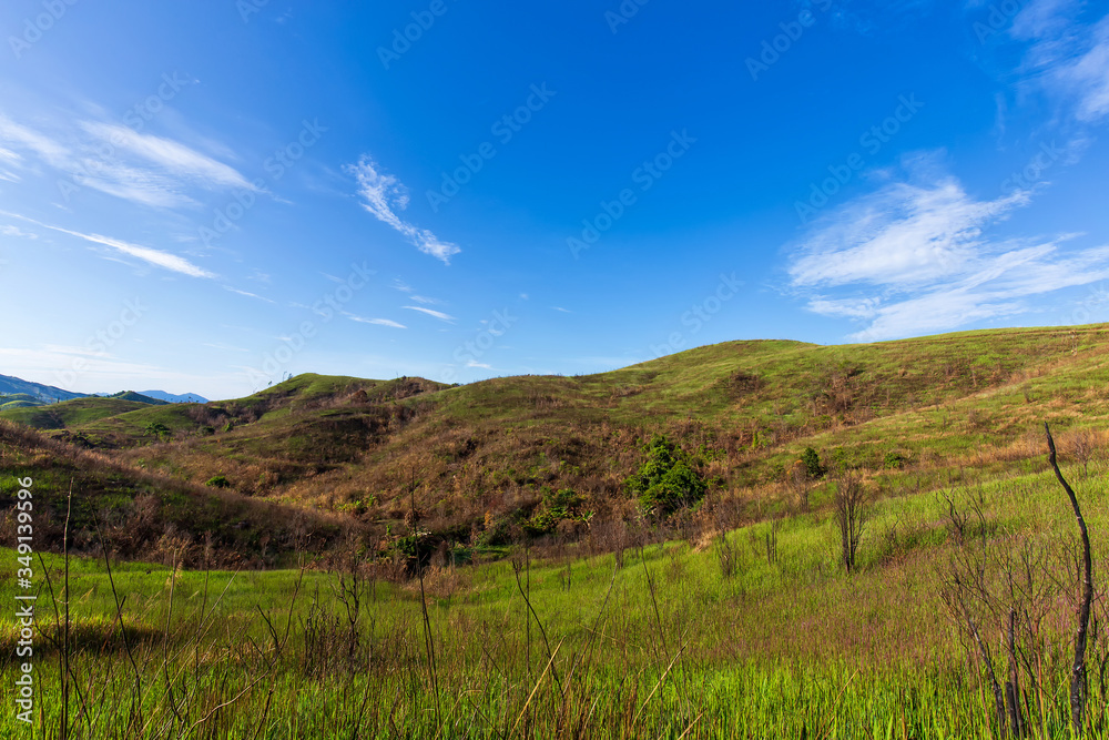 Beautiful sunny day scene, mountain scenery with fresh green meadows with blue sky background, natural view landscape