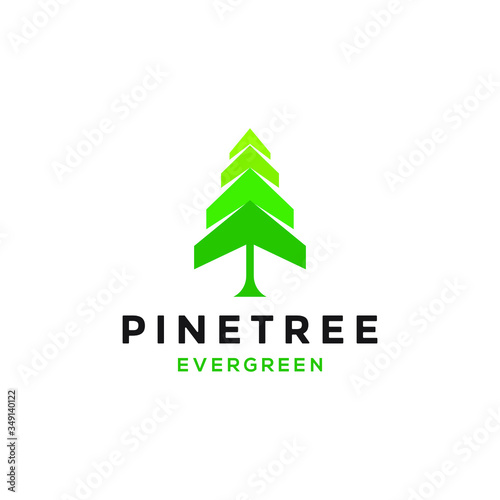 pine evergreen fir hemlock spruce conifer cedar coniferous cypress larch pinus tree forest vintage retro hipster