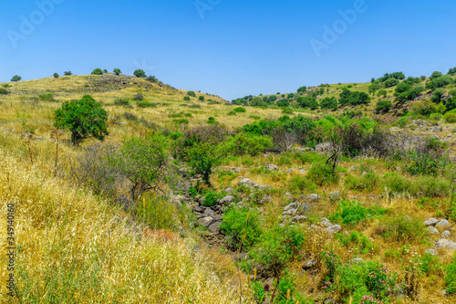Zavitan Stream, in Yehudiya Forest Nature Reserve © RnDmS