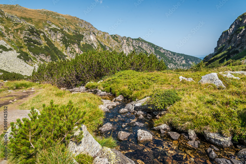 Beautiful summer mountain scenery. Green meadows and a mountain river. Summer mountain background. Rila mountain, Bulgaria