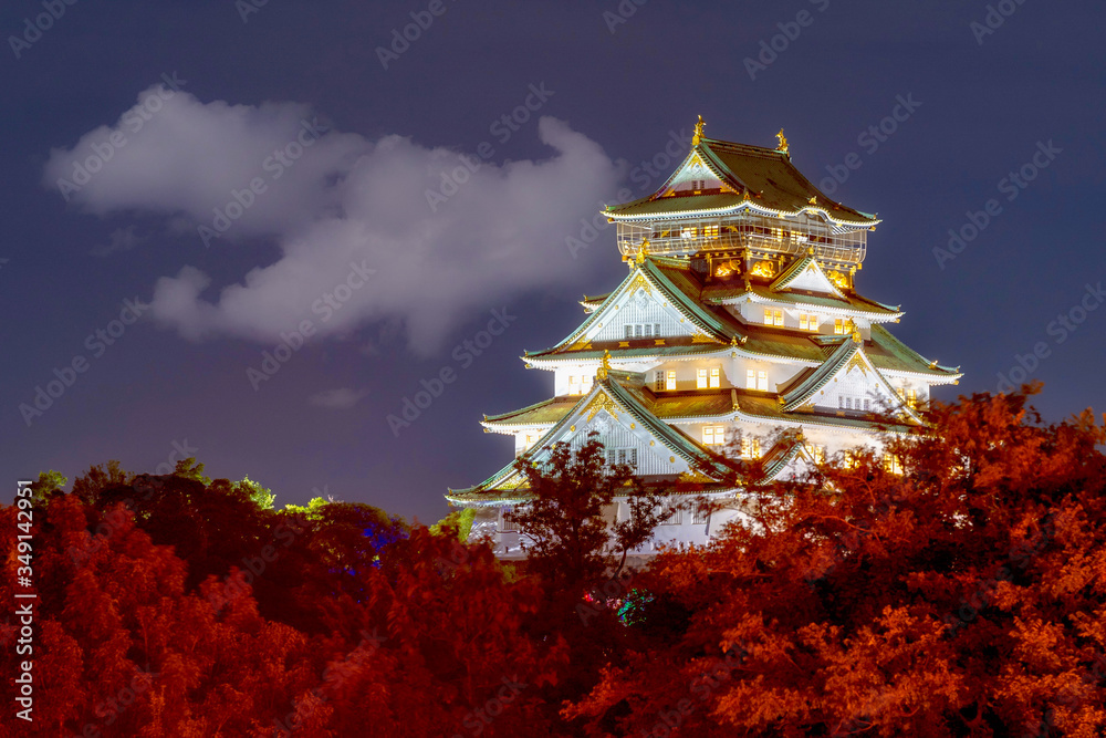 Fototapeta premium 大阪城/大阪/osaka castle/Osaka/観光/お堀/大阪/osaka castle/Osaka tour / 日本 / Japan