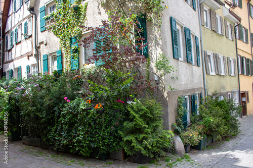 Haus Tübingen Bunt Pflanzen  © carolindr18
