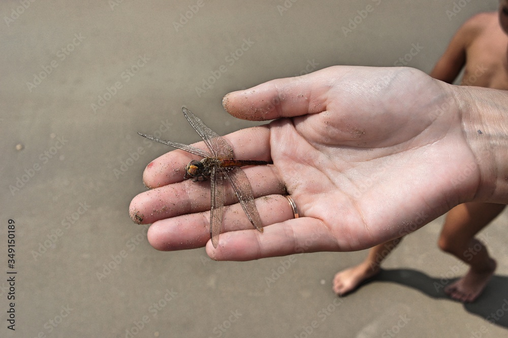 Obraz premium SONY DSC