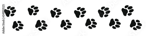 Paw Prints. Isolated vector Illustration.