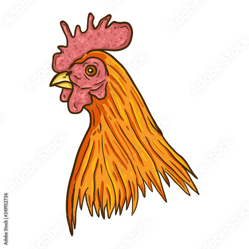 Vector Cartoon Rooster Head