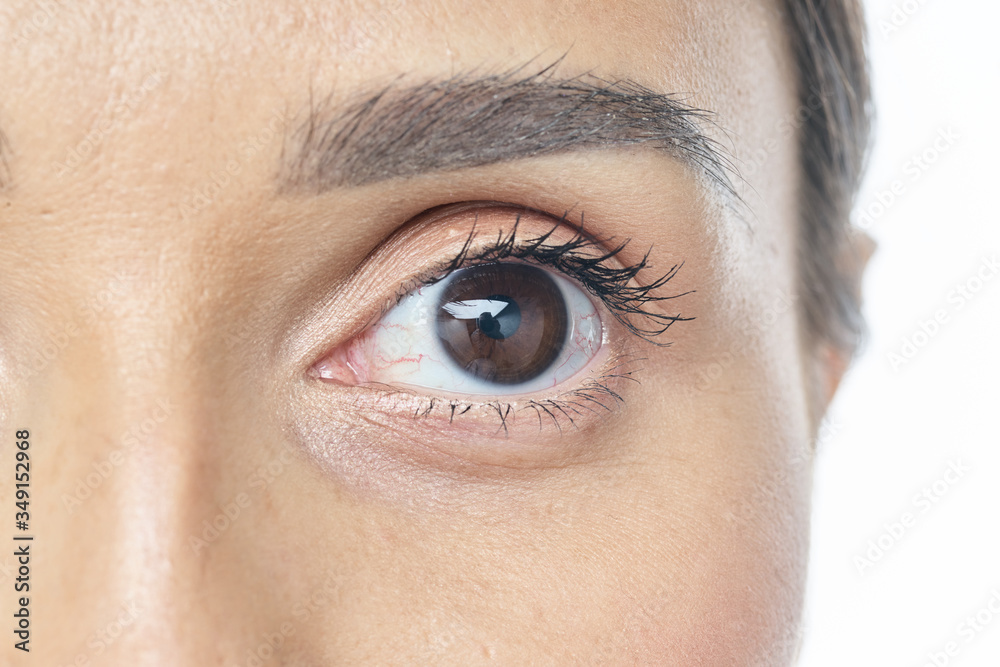 Fototapeta premium Female Eye with Extreme Long False Eyelashes. Eyelash Extensions. Makeup, Cosmetics, Beauty. Close up, Macro