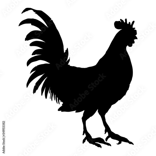 Vector Silhouette of Rooster