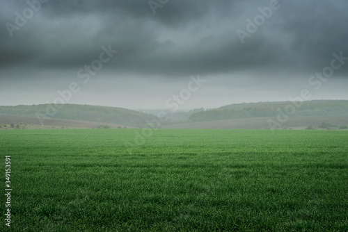 wheat farming © Andrew