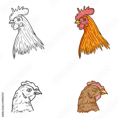 Vector Set of Hen and Rooster Faces.