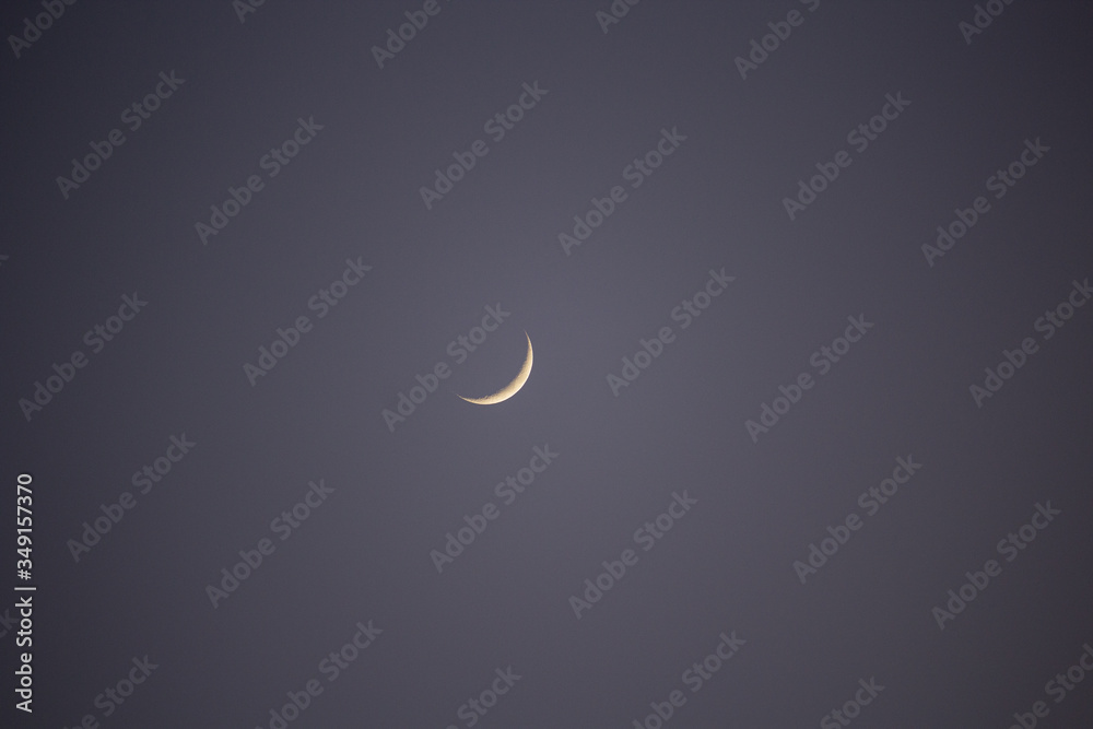 Mond Mond