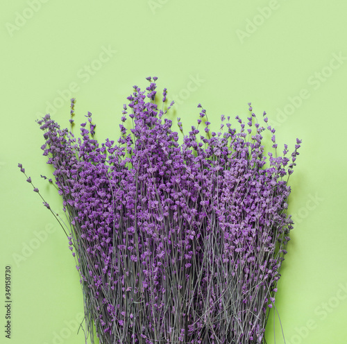 Branches of dry purple fragrant lavender on green paper background.