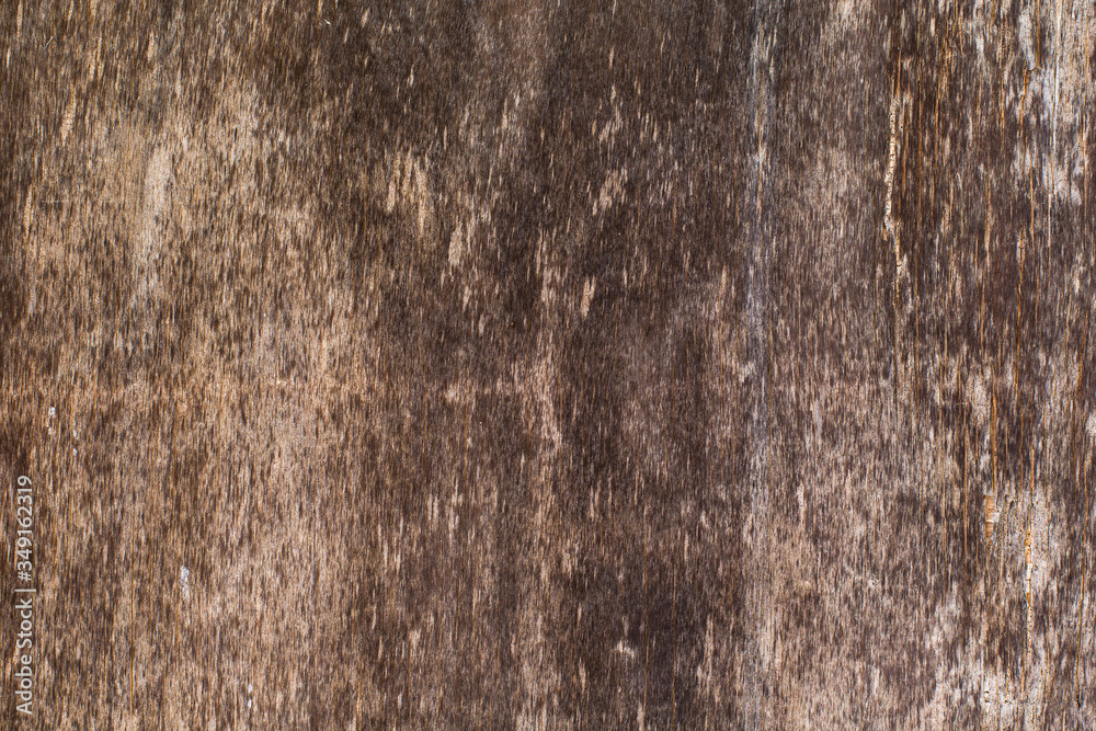 Obraz premium brown wood texture