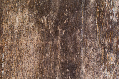 brown wood texture