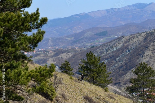 a man walks a dog up a hill