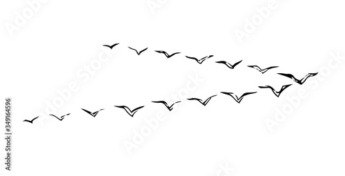 Duck flock in the sky. Vector drawing