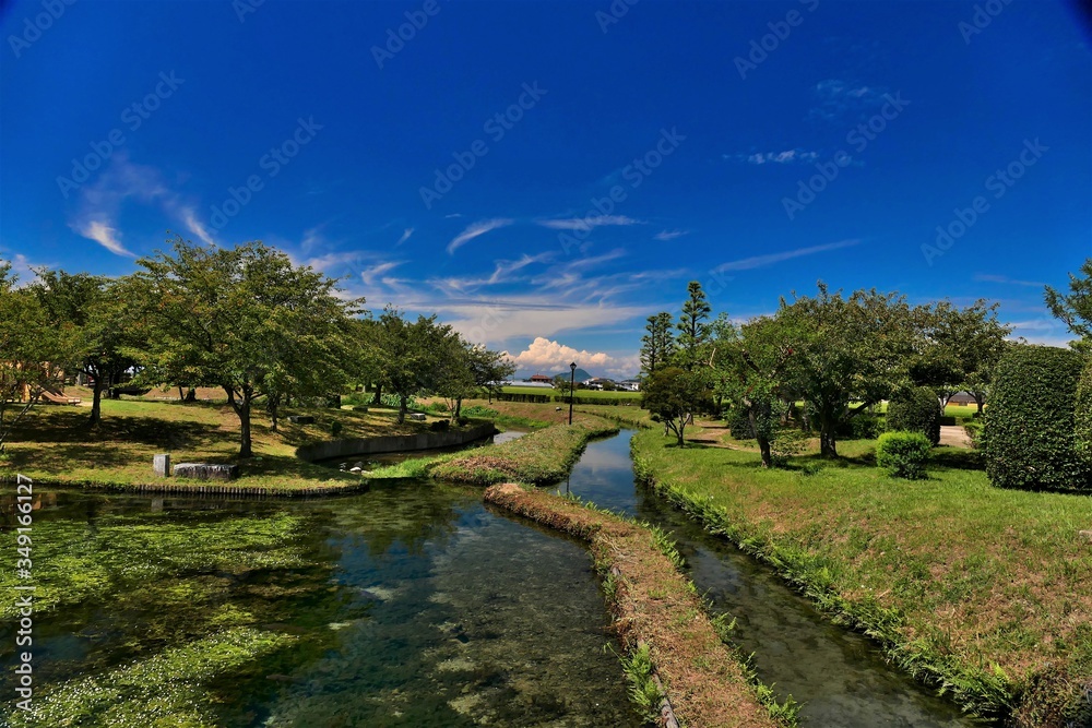 Fototapeta premium 青い空と池のある公園