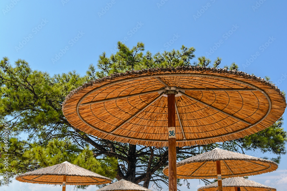Fototapeta premium Big wooden umbrella on the beach with tree and sky background