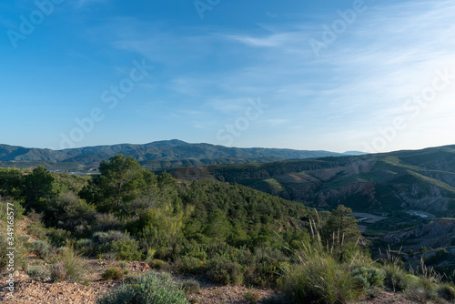 pine forest and mountainous landscape in the Alpujarra