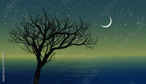 tree and moon