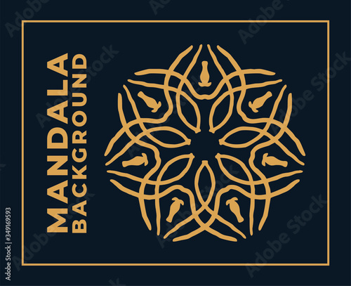 Vector mandala pattern ornament luxury background