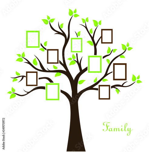 Vector illustration of family photo tree