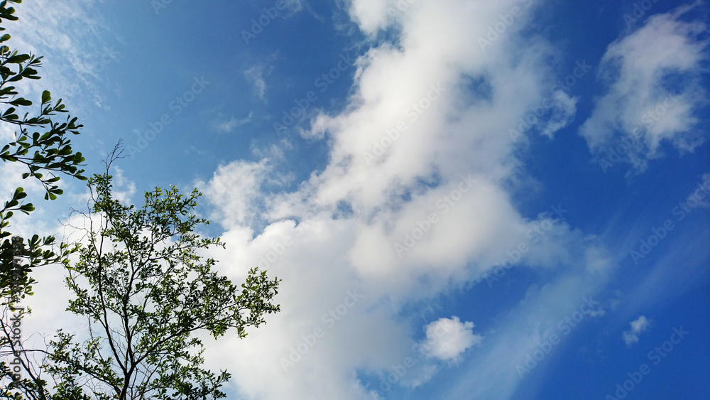 The weather landscape of blue sky and white clouds The weather landscape of blue sky and white clouds