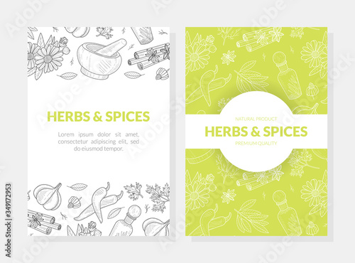 Herbs and Spices Card Templates Set with Natural Organic Healthy Products Seamless Pattern, Label, Flyer, Certificate, Hand Drawn Vector Illustration