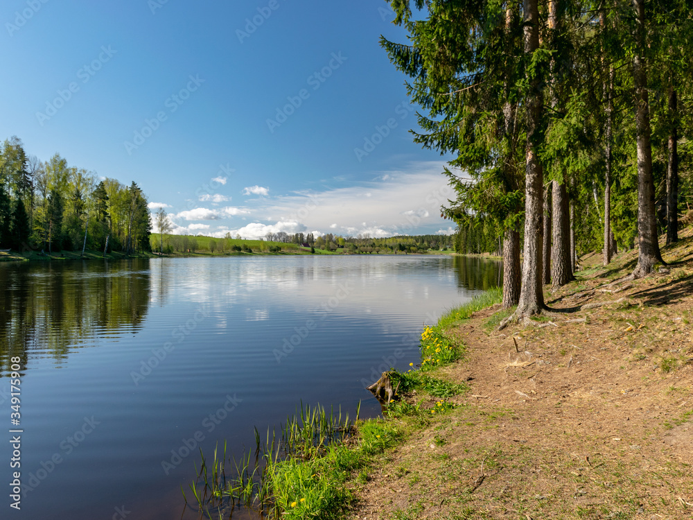 peaceful spring landscape with a clear lake and beautiful reflections of clouds and trees, green grass and the first spring flowers in the foreground