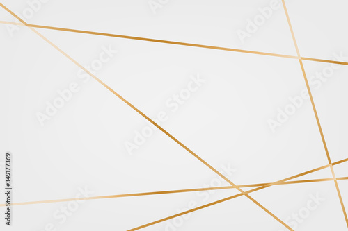 Abstract gold line luxury background template, vector