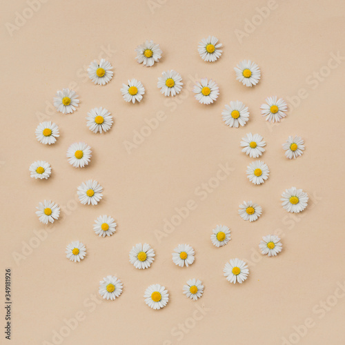 Wreath made of various chamomile flowers on a beige background. Flat lay, top view, copy space. Daisy in circle shape pattern. Flat lay hello spring and summer time with chamomile flowers