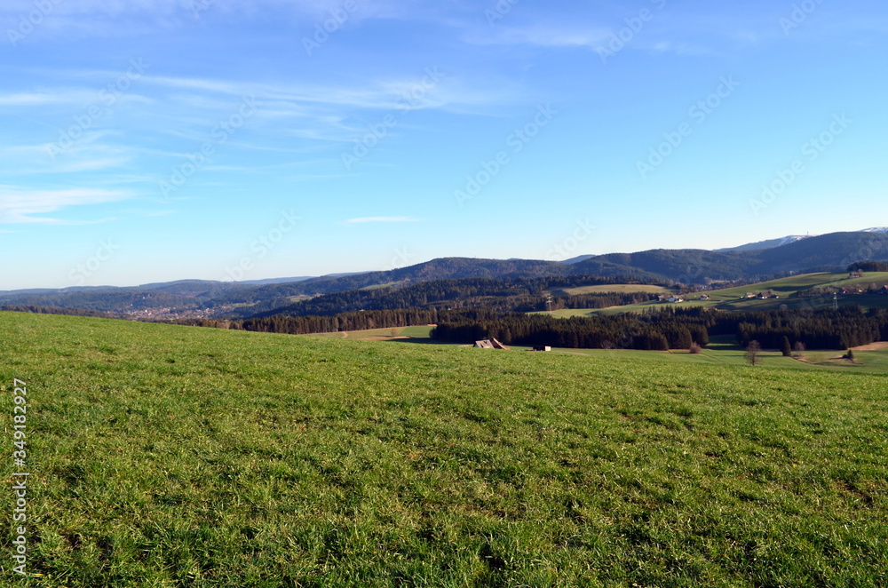 Grüne Wiesen in Breitnau im Schwarzwald Grüne Wiesen in Breitnau im Schwarzwald