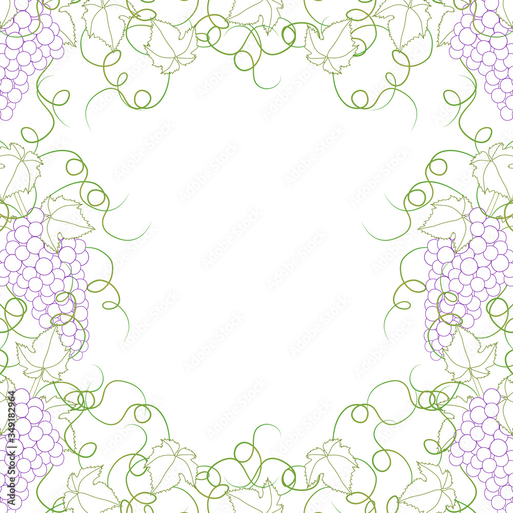 Colorful Line Grape Frame Vine on White Background Colorful Line Grape Frame Vine on White Background
