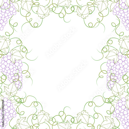 Colorful Line Grape Frame Vine on White Background