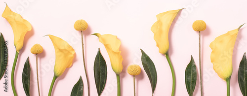 Summer concept. Border arrangement background.