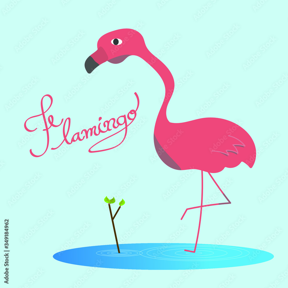 Fototapeta premium Hand drawing line of lovely flamingo bird stand on one leg with hand writer fonts