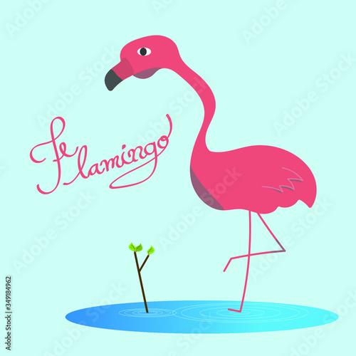 Hand drawing line of lovely flamingo bird stand on one leg with hand writer fonts