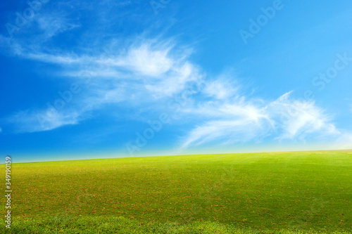 Wide Green Field on blue sky with cloud Background.