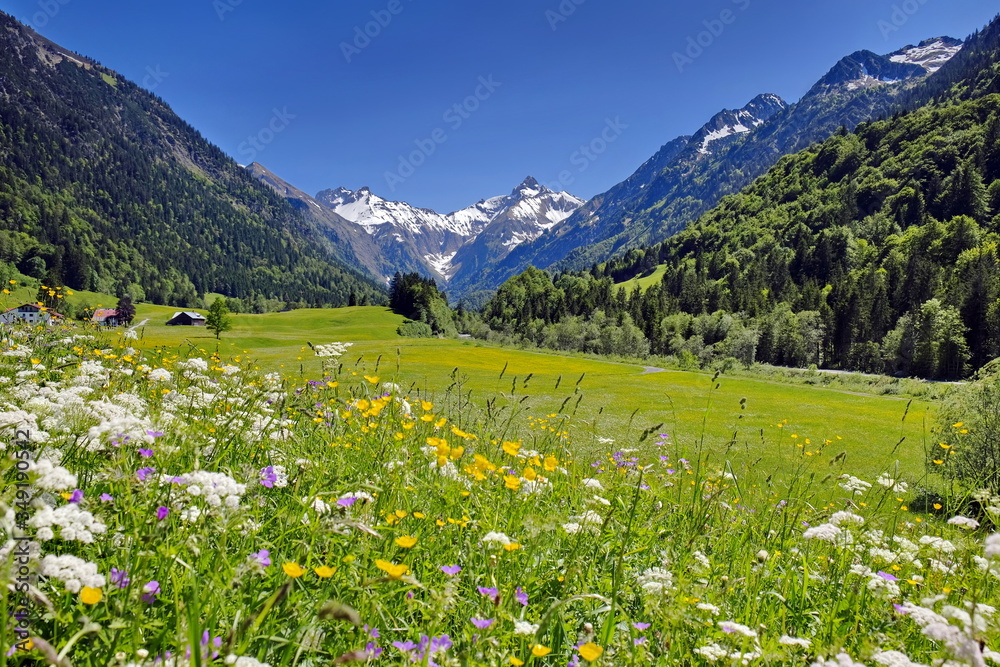 Alpen, Berge und Häuser mit Blumenwiesen und Gipfeln mit Schnee